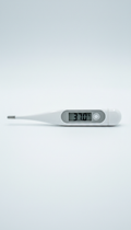 Digital Stick Thermometer
